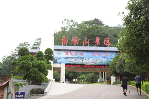 国庆旅游精品路线 梧州三日游，2条路线随你选，看遍梧州的山和水 | 绿维文旅推荐