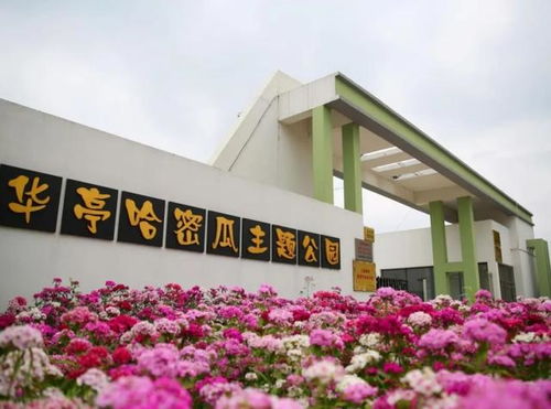 追风拾野，诗意栖居 九条美丽乡村休闲旅游精品路线全解析