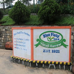 2020斯里兰卡努瓦勒埃利耶绿茶厂游玩全攻略 路线、地址与门票信息