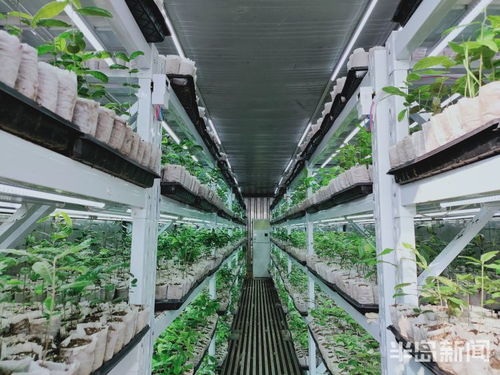 第一风口 | 植树造林用上物联网技术 上市青企科技助力，绿色产业突围正当时